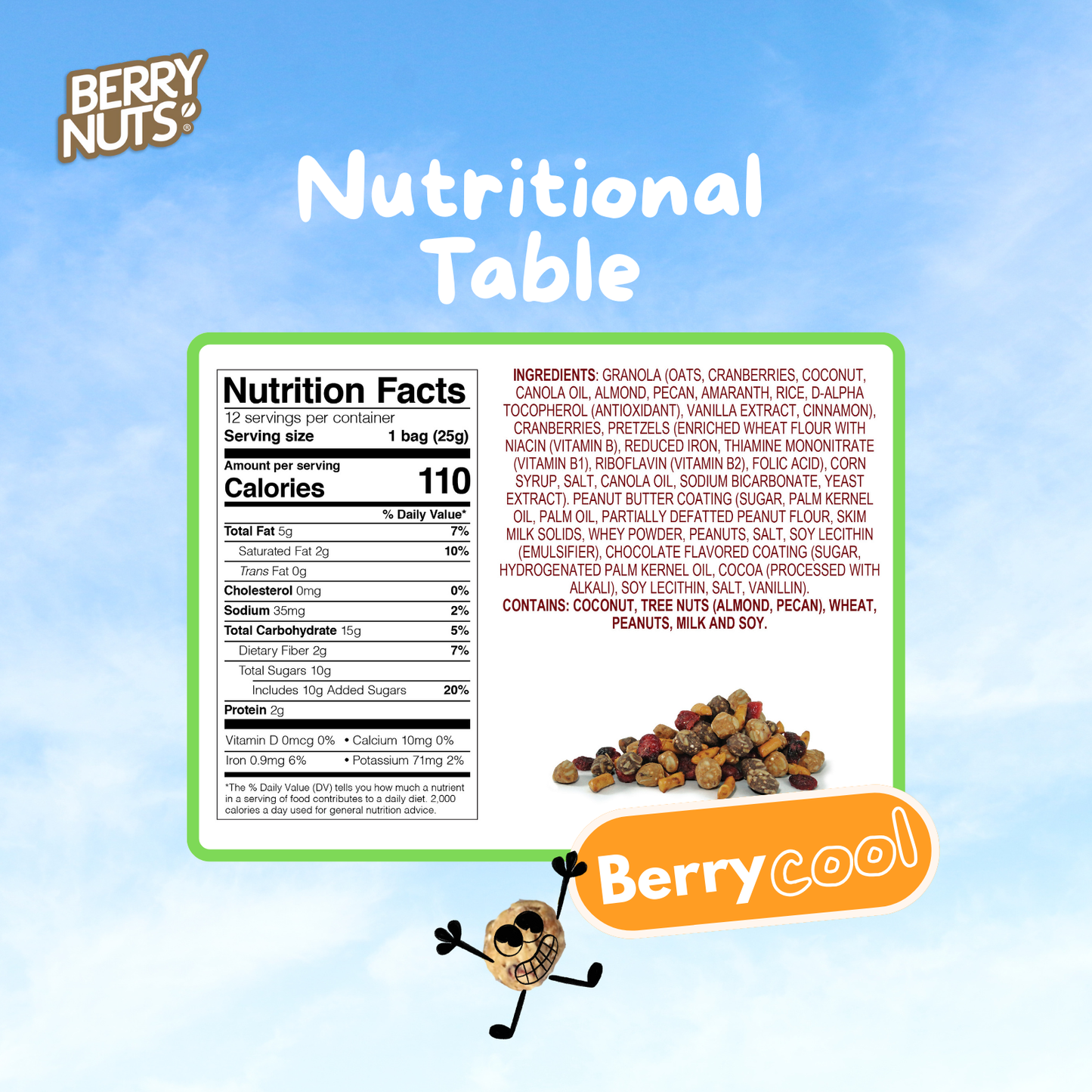 Berry Nuts® Pretzel Mix Granola Bites 12 Pack (12x.88 Oz)