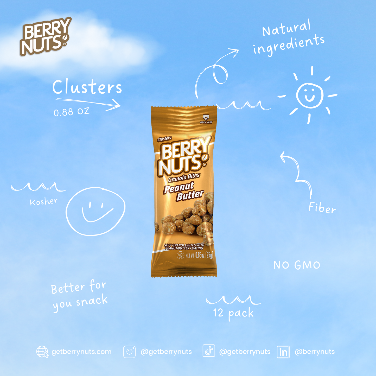Berry Nuts® Peanut Butter Granola Bites 0.88oz (100 Pack)