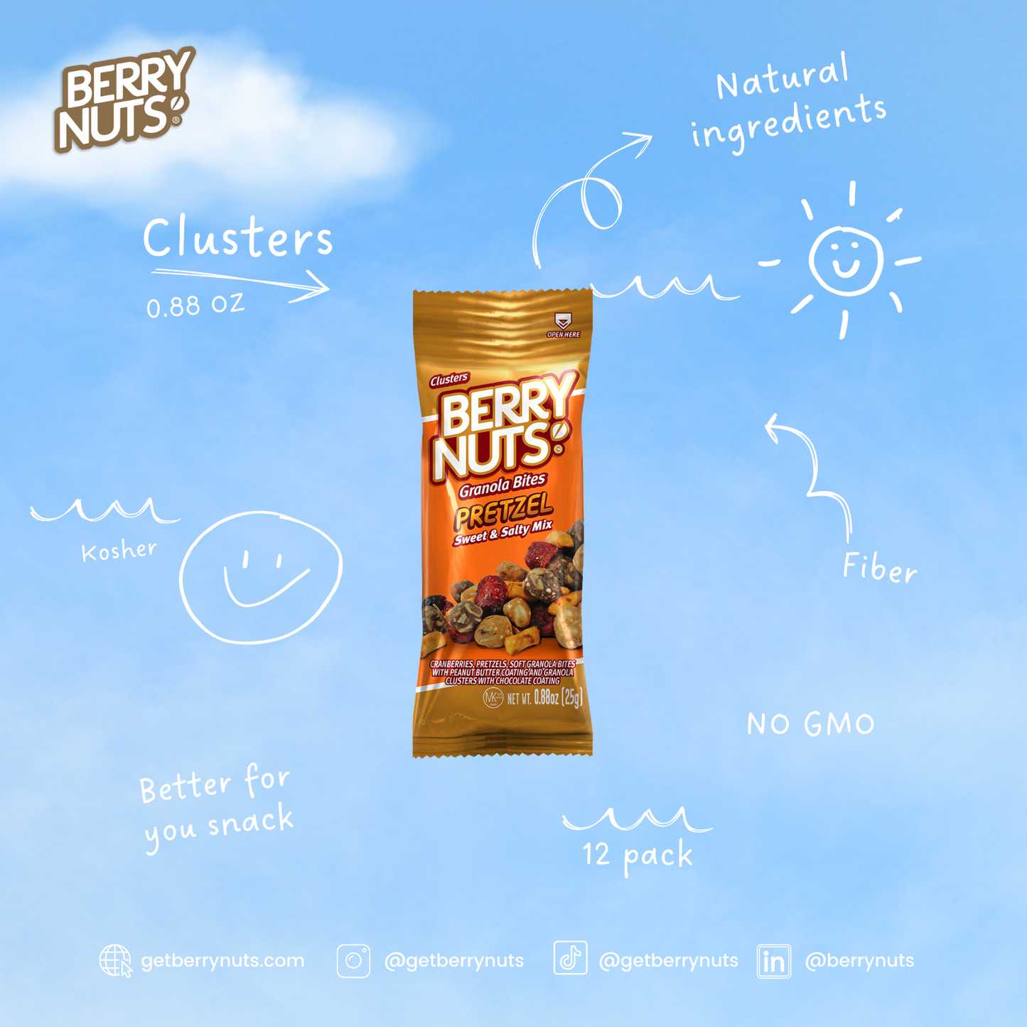 Berry Nuts® Pretzel Mix Granola Bites 0.88oz (100 Pack)