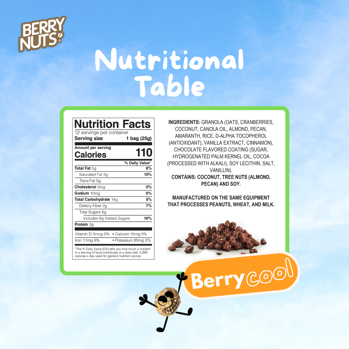 Berry Nuts® Chocolate Granola Bites 12 Pack (12x.88 Oz)