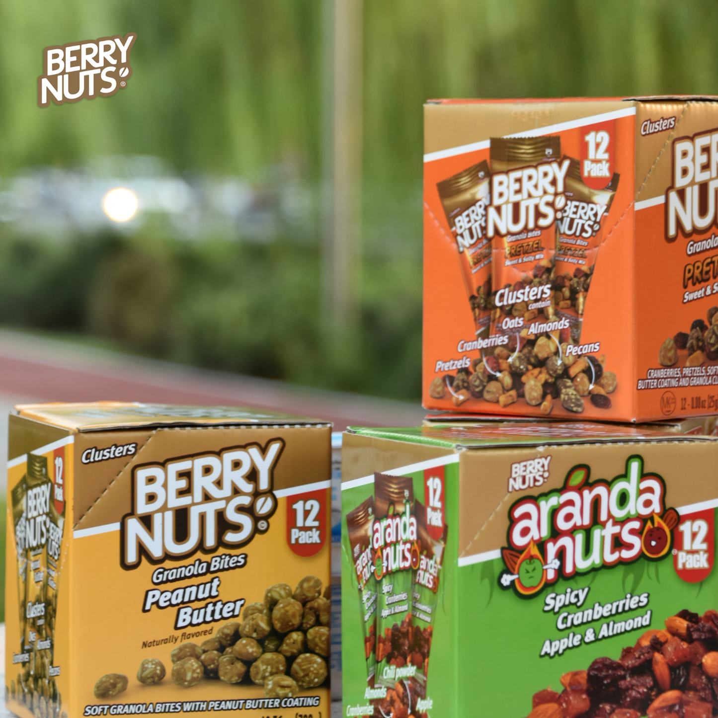 Berry Nuts® Pretzel Mix Granola Bites 12 Pack (12x.88 Oz)