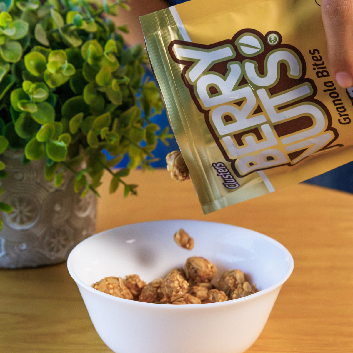 Berry Nuts® Peanut Butter Granola Bites 6.34 Oz