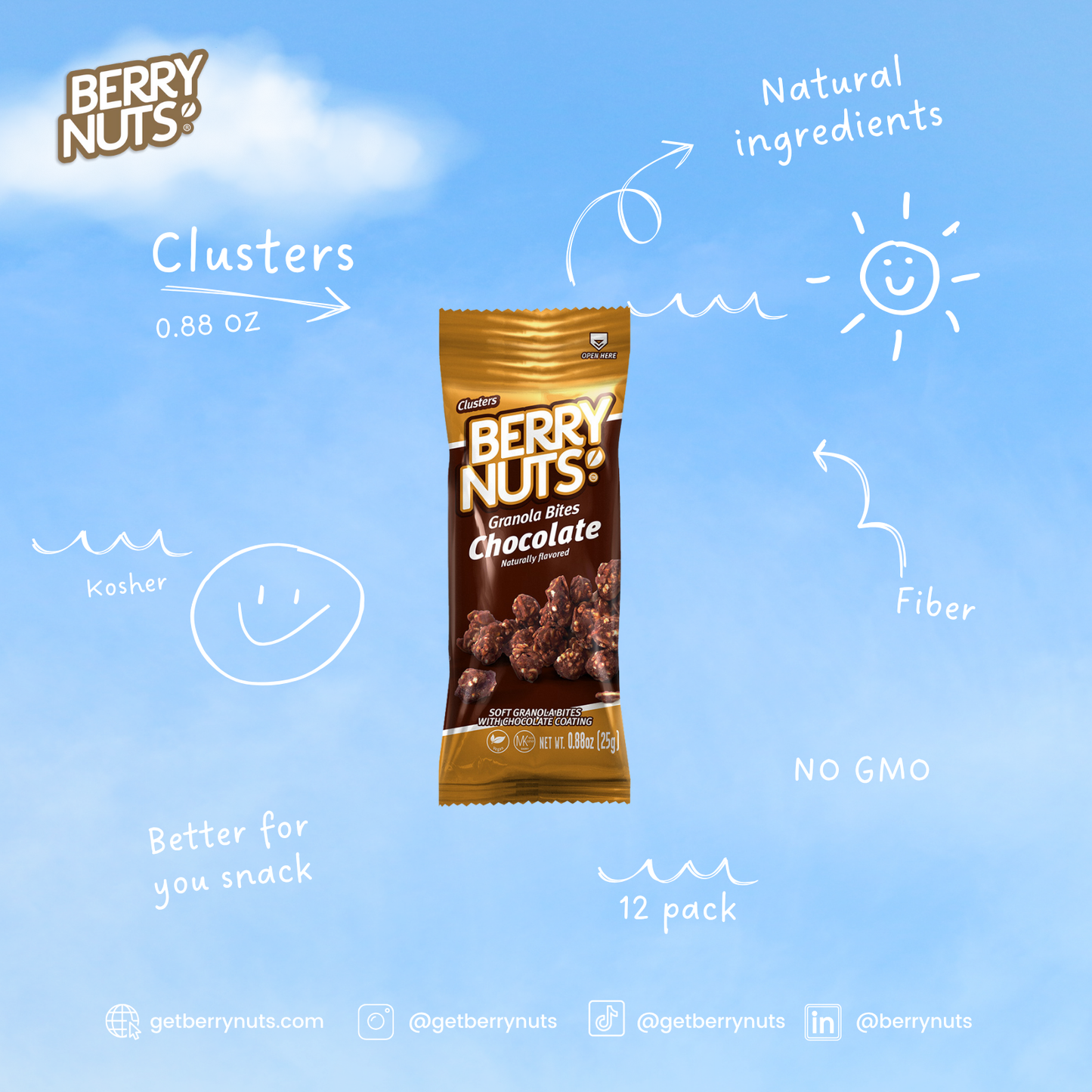Berry Nuts® Chocolate Granola Bites 0.88oz (100 Pack)